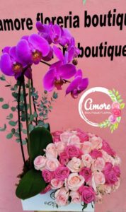 orquideas para mama en poza rica