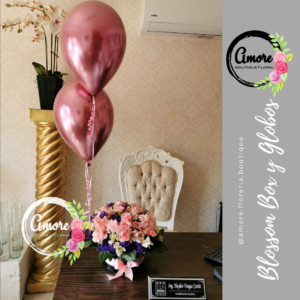 blossom box globos poza rica