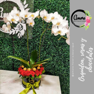 Orquidea, rosas y chocolates poza rica
