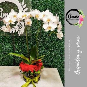 Orquidea y Rosas poza rica