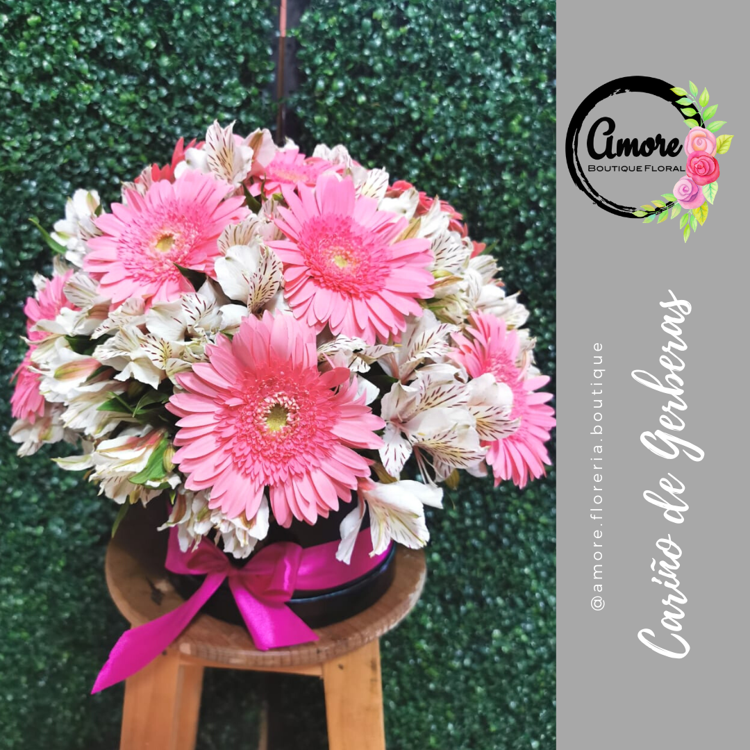 Cariño de Gerberas Caja | Amore Boutique Florería en Poza Rica