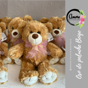 oso de peluche beige poza rica